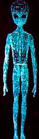 body.jpg